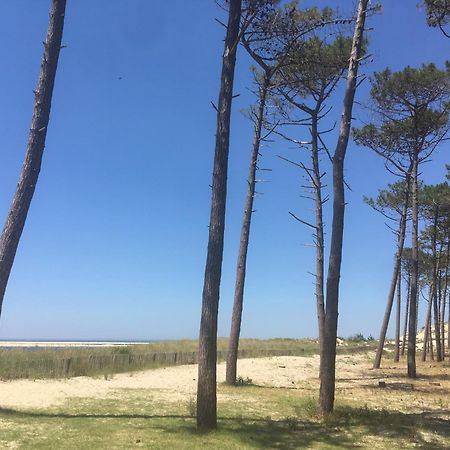 Appartement Spacieux Arcachon Dış mekan fotoğraf