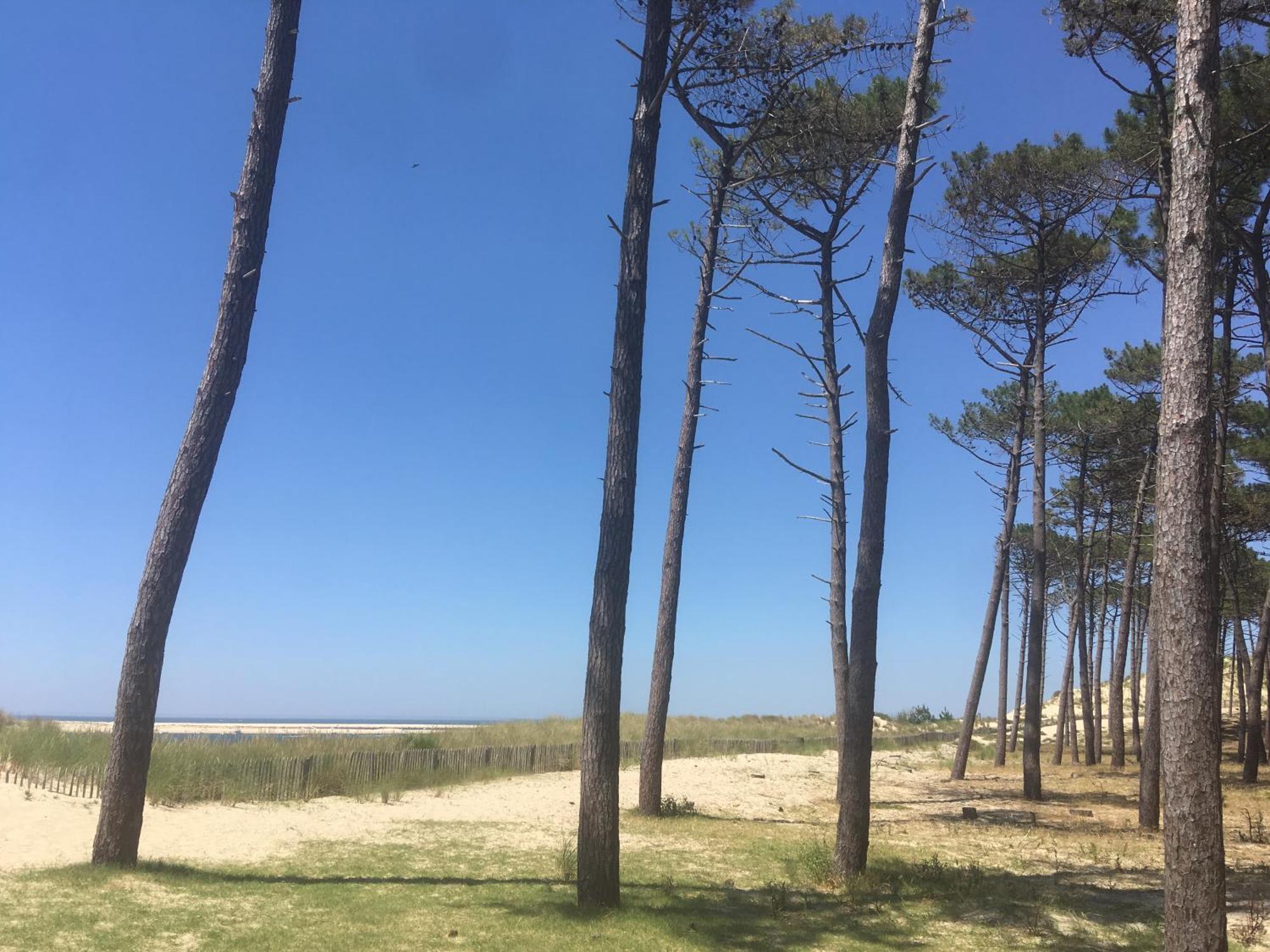 Appartement Spacieux Arcachon Dış mekan fotoğraf