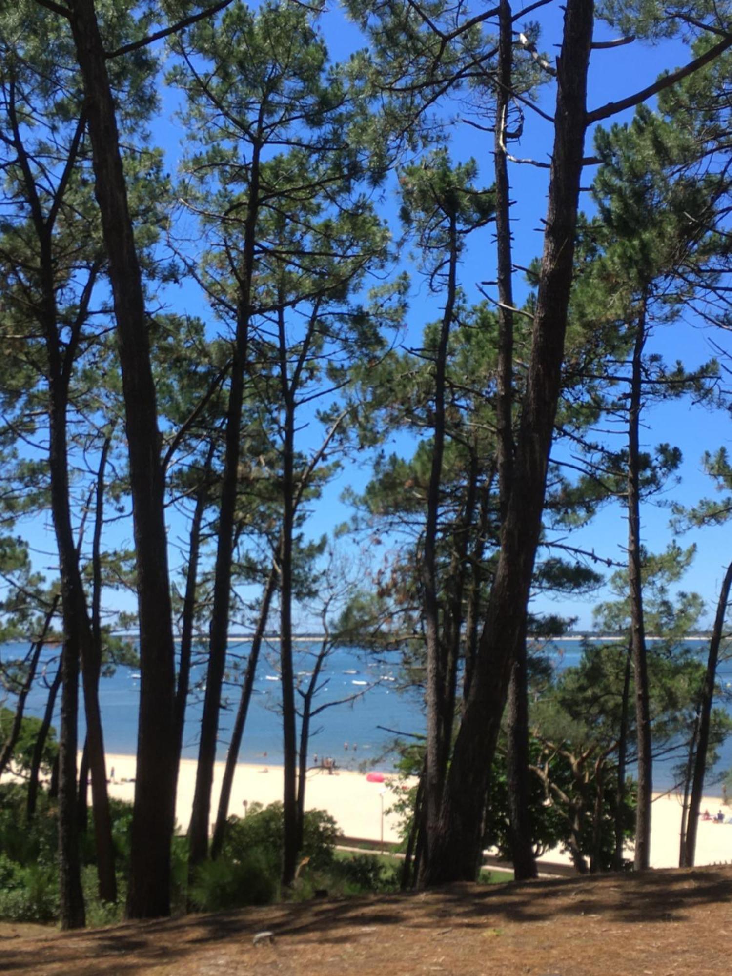 Appartement Spacieux Arcachon Dış mekan fotoğraf